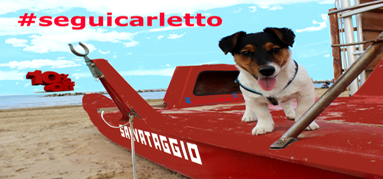 #Seguicarletto
